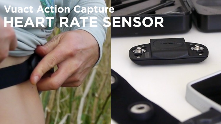 heart-rate-sensor-image
