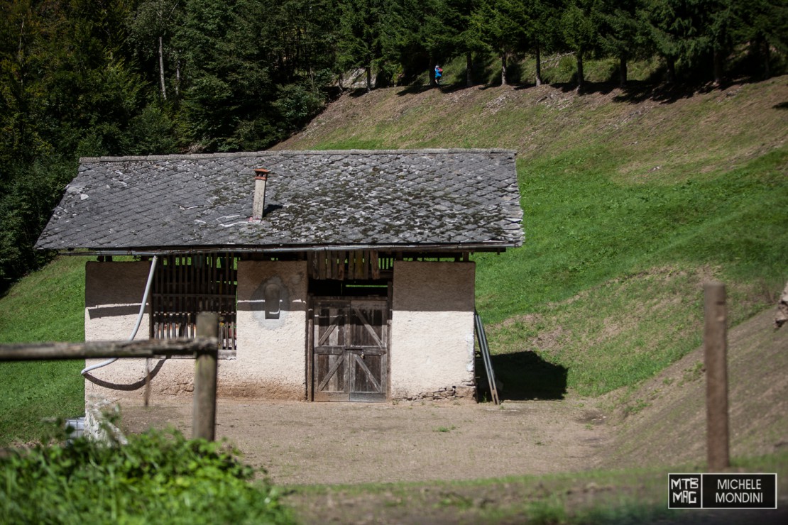 1DS_2696
