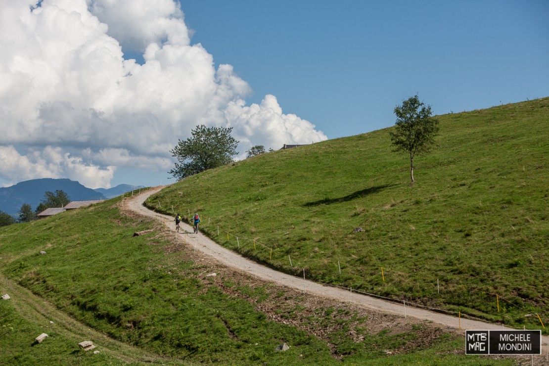 1DS_2964