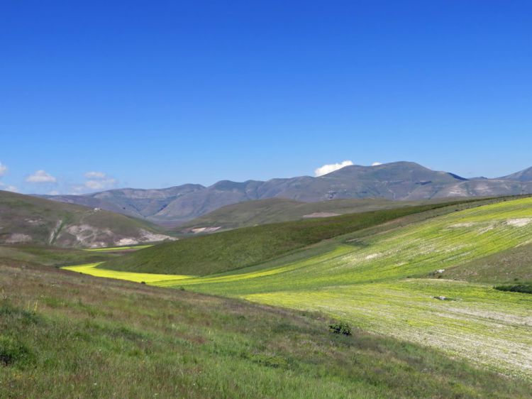 fioritura al Pian Piccolo