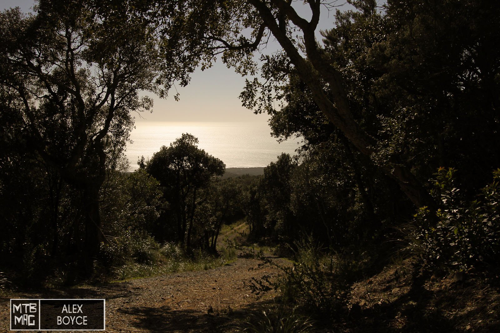 The tops of the trails in Punta Ala gave us ample chance to test climbing and descending.