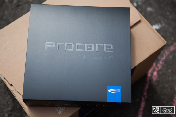 toniolo-procore_001