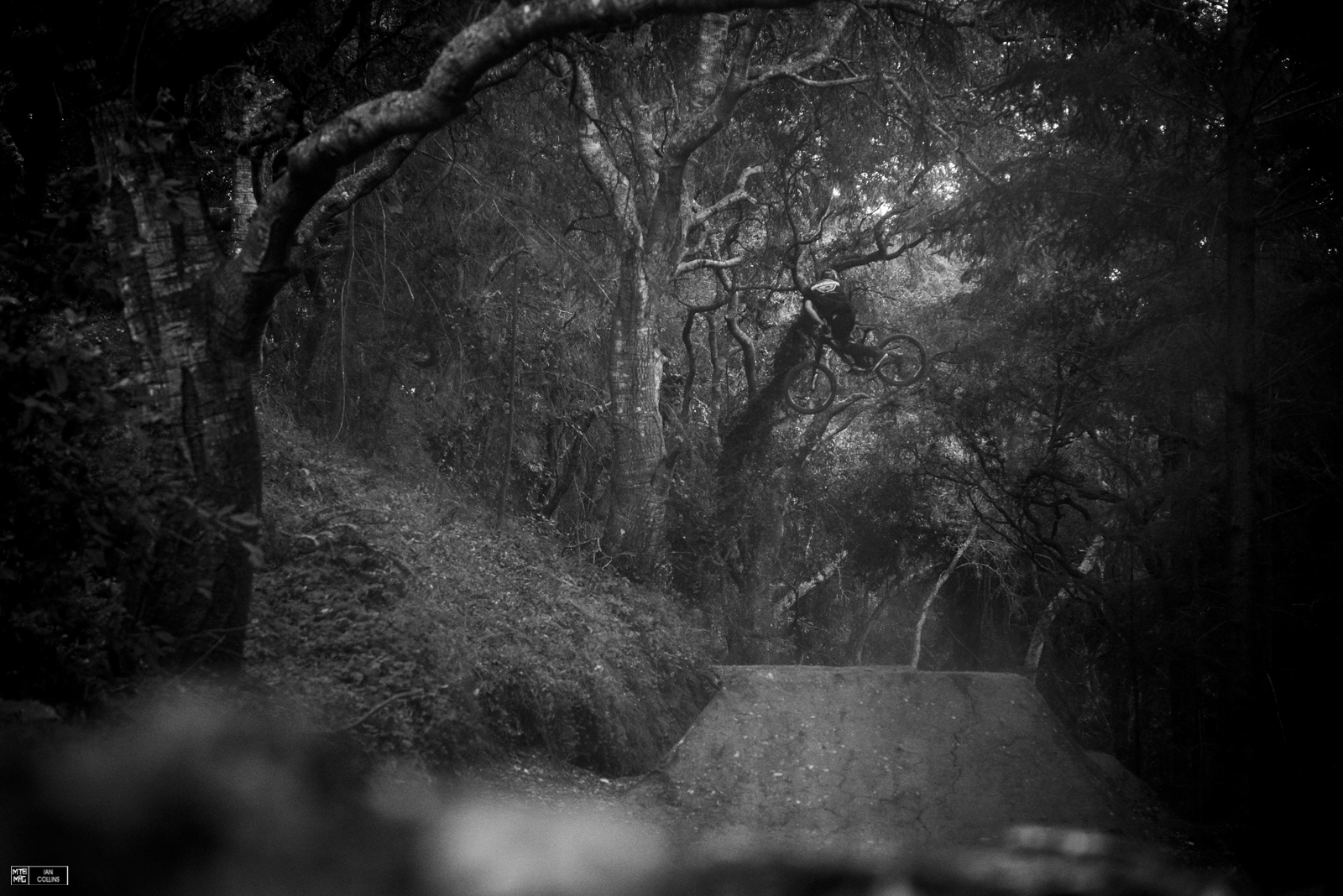 Brandon whipping into an endless tunnel of gnarled trees.
