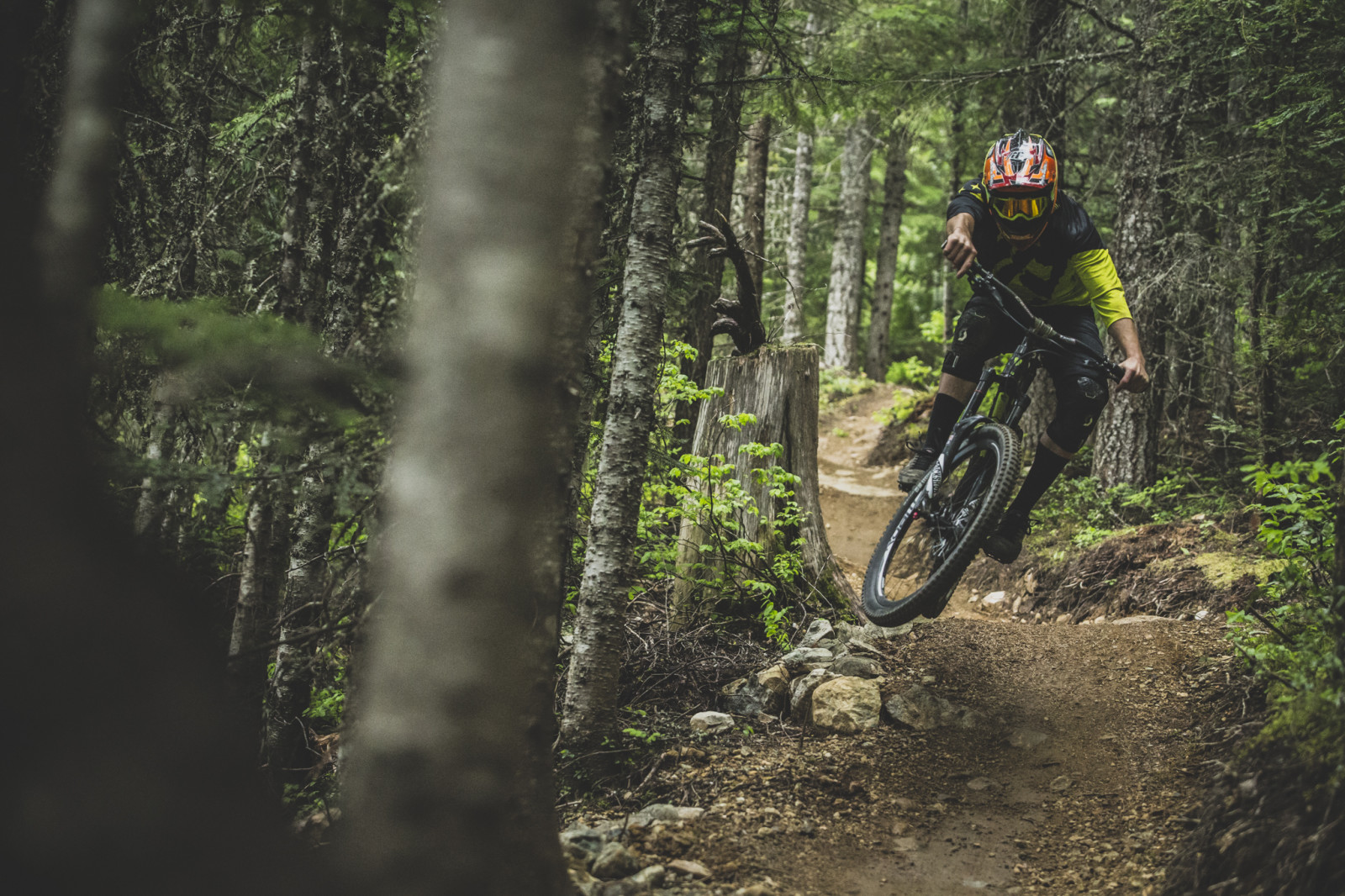 Media squid faux scrub in Whistler. Photo : Adrian Marcoux.