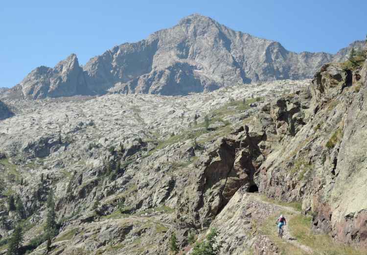 DSCN7155w
