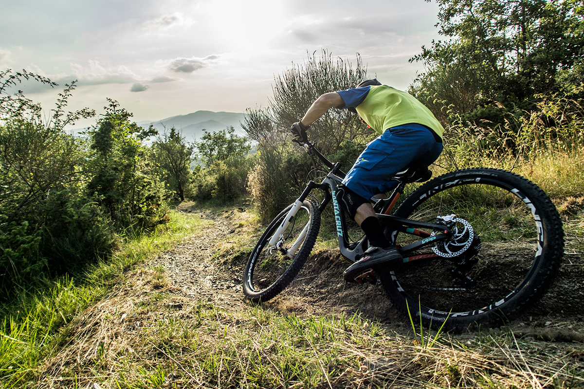 Linea_Action_low_res-7