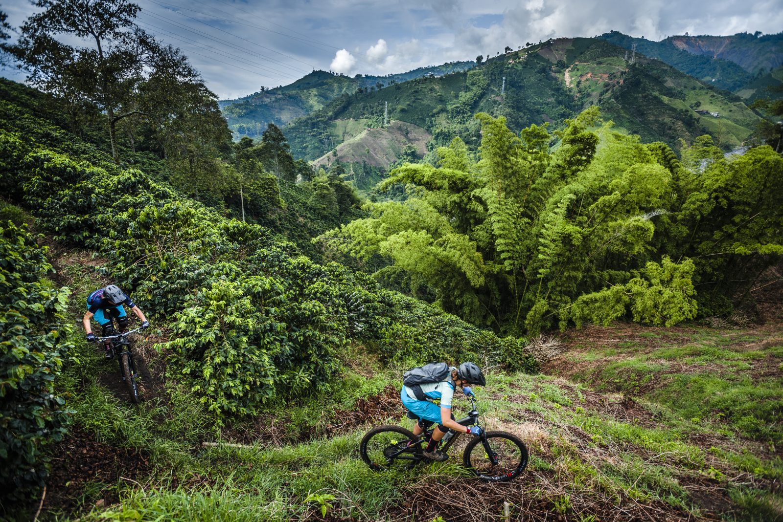Green-greener-Colombia-The-twins-riding-through-the-coffee-plantations-in-Manizales-1600x1068.jpg