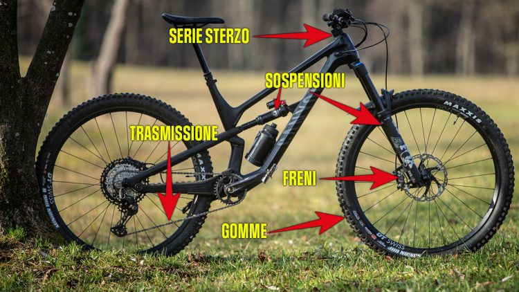 tagliando mtb