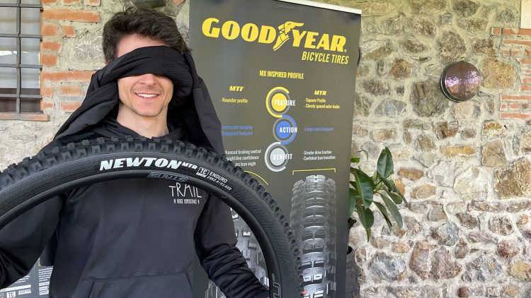 Goodyear Newton