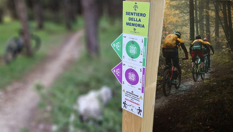 Ascoli Trail Area