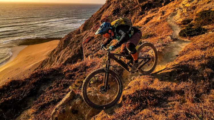 Trek Slash