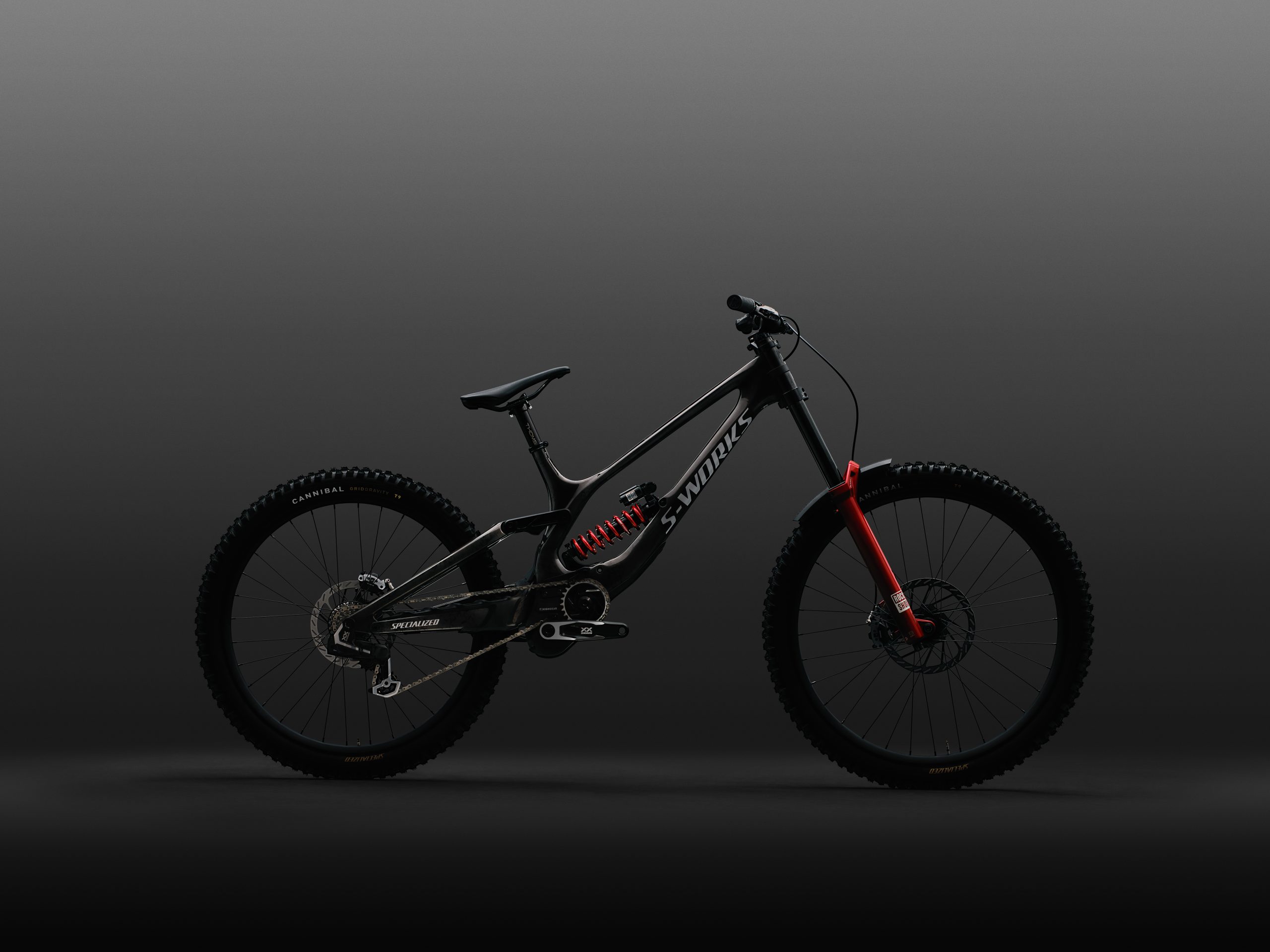 Specialized Demo 11