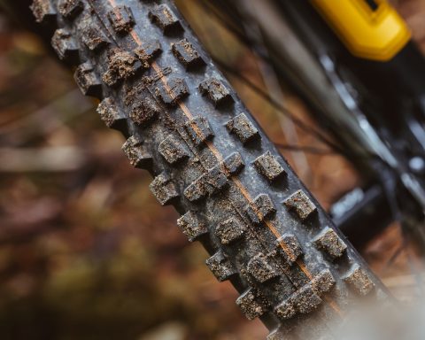 Schwalbe Romy