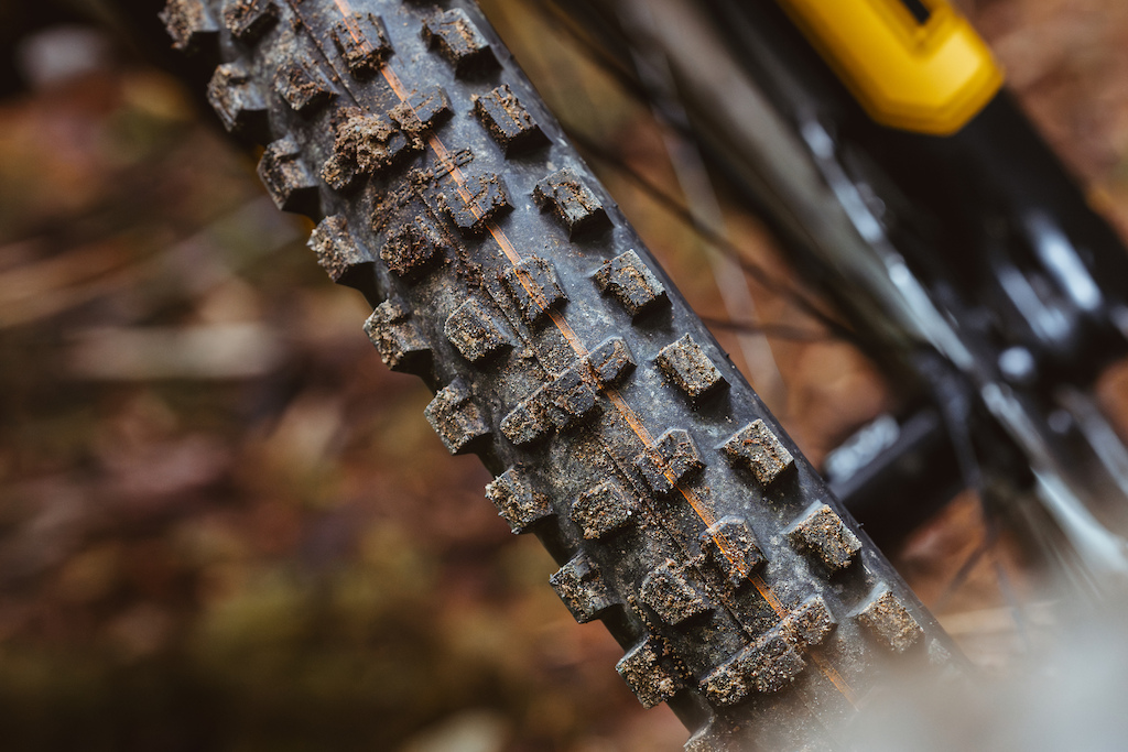 Schwalbe Romy