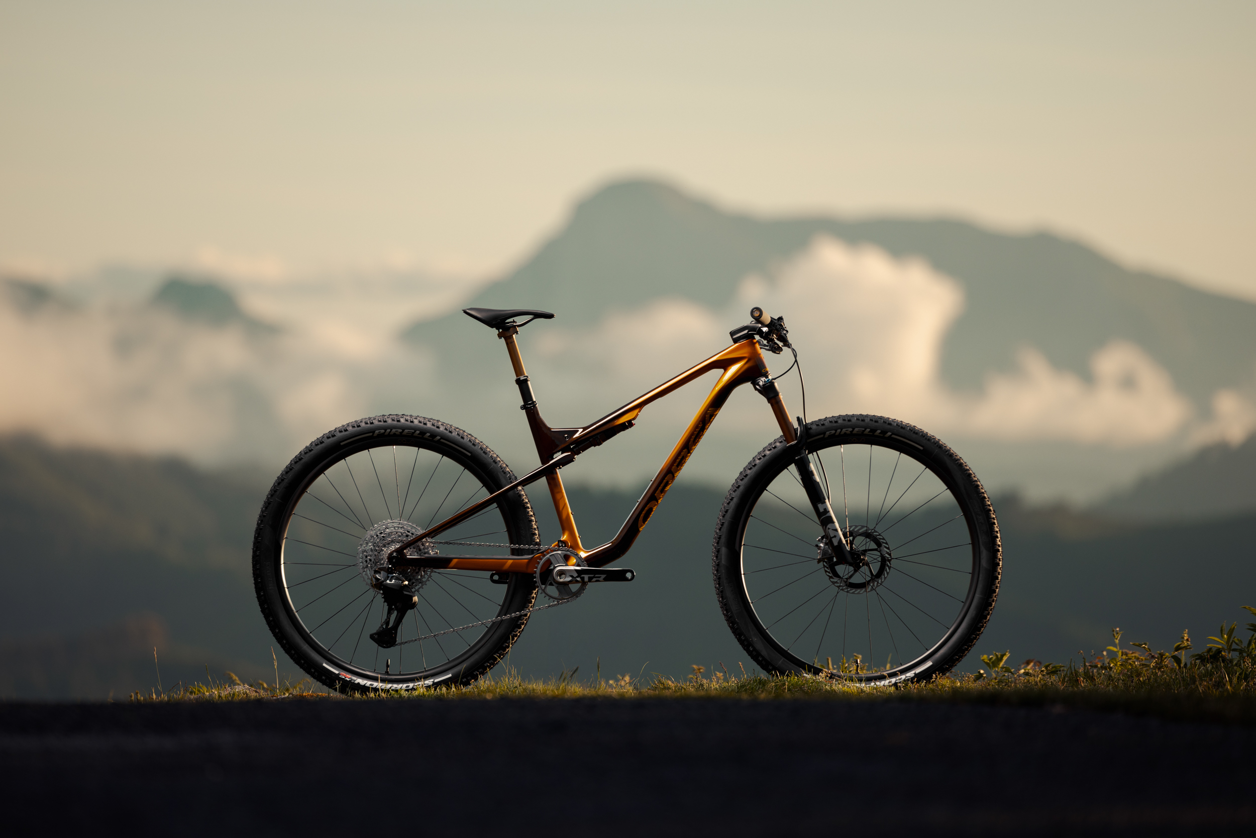 Orbea Oiz